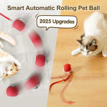 Smart Rolling Ball with Tail