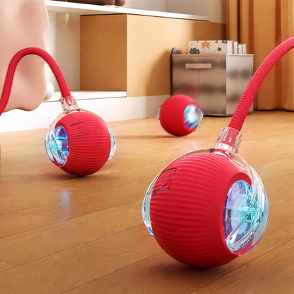 Smart Rolling Ball with Tail